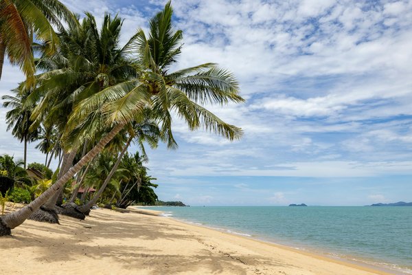 Découvrez les meilleures options de location de vélos électriques à nice
