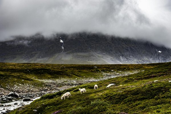 Où participer à une expédition de spéléologie dans les grottes de Waitomo, Nouvelle-Zélande?