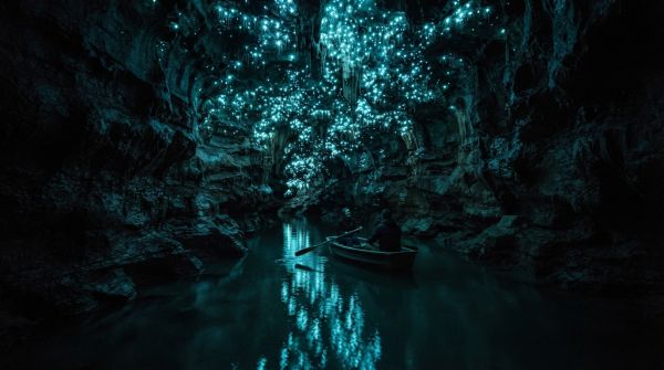 Où participer à une expédition de spéléologie dans les grottes de Waitomo, Nouvelle-Zélande?